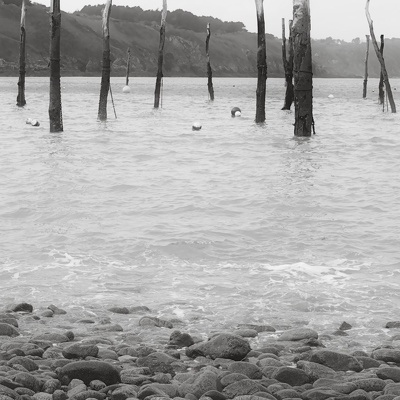 Nature en vadrouille